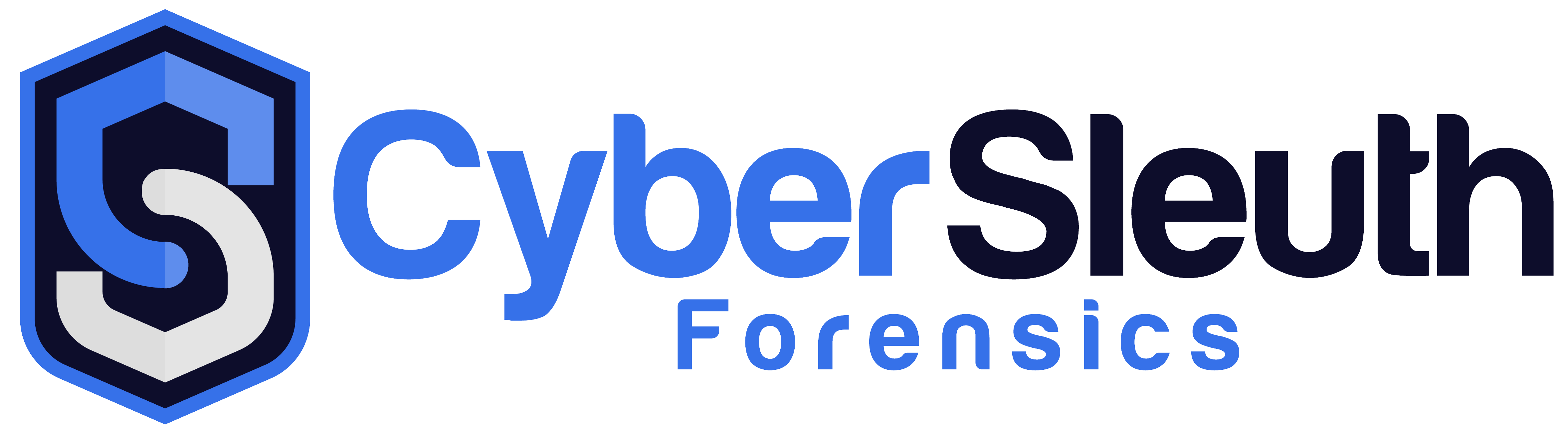 cyber sleuth
